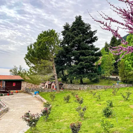 Aselinos Forest Estate