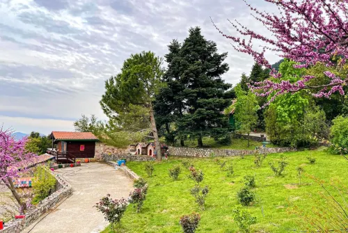 Aselinos Forest Estate - Villas