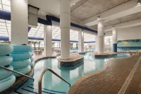 Homewood Suites by Hilton Myrtle Beach Oceanfront - Beach