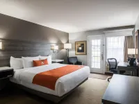 Amsterdam Inn & Suites Moncton Ξενοδοχεία στην πόλη Moncton
