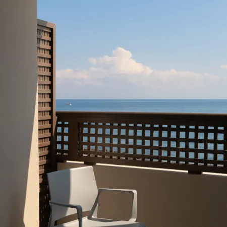 Hotel Ideon