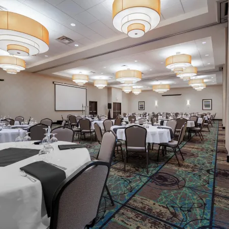 Holiday Inn & Suites EDMONTON ARPT - CONFERENCE CTR by IHG