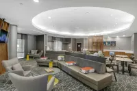 SpringHill Suites Sacramento Natomas - spa