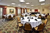 Holiday Inn & Suites ANN ARBOR UNIV. MICHIGAN AREA by IHG - parking