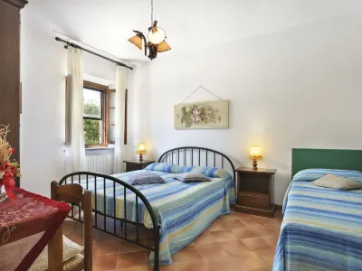 Il Selleria (Ter105)