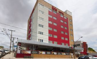 Ibis Teresina