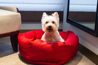 その他 グランドハイアット台北の写真