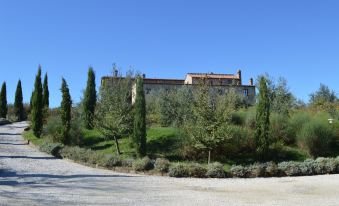 Holidays in Apartment with Swimming Pool in Tuscany Siena