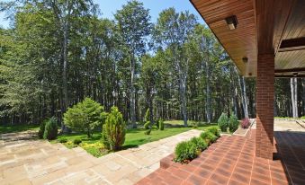 a patio with a red brick floor and wooden floor , surrounded by trees and grass at Hotel Edelweiss