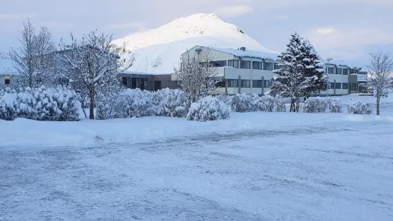 Hotel Jökull