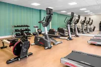 Holiday Inn Express & Suites SANFORD- LAKE MARY by IHG - Gym