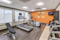 Comfort Inn & Suites Hotels in Boyd