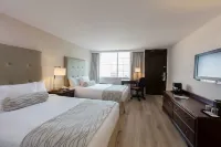 Krystal Satelite Maria Barbara