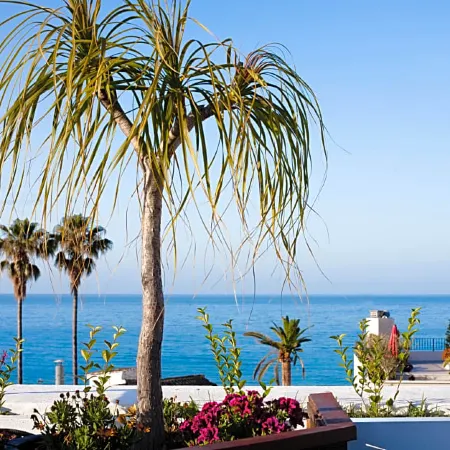 Hotel Plaza Cavana