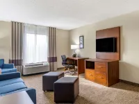 Comfort Inn & Suites St Pete - Clearwater International Airport Hotels in Pinellas County