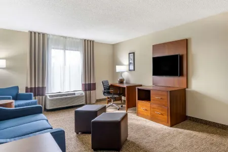 Comfort Inn & Suites St Pete - Clearwater International Airport