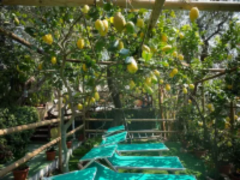 Hotel Villa Bellavista Hotels in Praiano