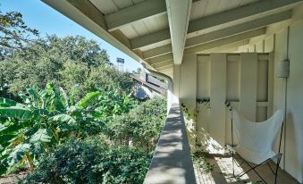 a long , narrow walkway with a metal railing is surrounded by greenery and leads to an apartment building at Shady Villa Hotel
