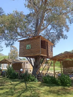 Daidala Life فنادق في Inlice Mahallesi