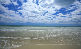 Guy Harvey Resort on Saint Augustine Beach