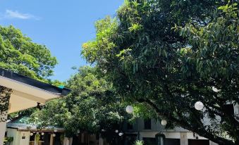 Hotel Mango Airport - Housity