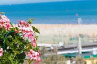 Hotel Gambrinus - Ocean View