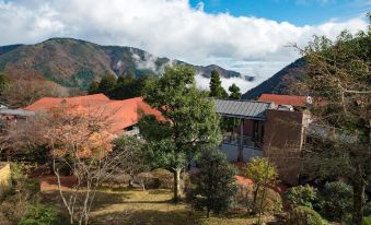 Hakone Forest of Verde