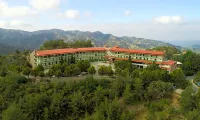 Rodon Hotel and Resort Hotels near Winery Cyprus|Cyprus Wine|Vlassides Winery