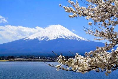 ホテル周辺 Prime Suites Tokyoの写真