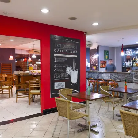 Ibis Teresina