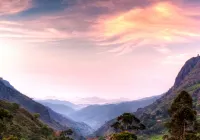 Misty Hills Ella Resort Hotels in Ella