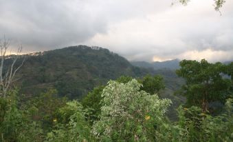 Pineridge Bucari Mountain Resort - Housity