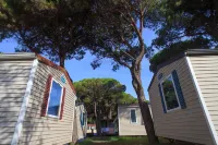 Pineta Sul Mare Camping Village