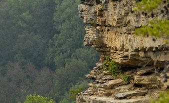 Greeter Falls Lodge 6