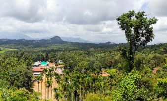 Edakkal Hermitage Resorts