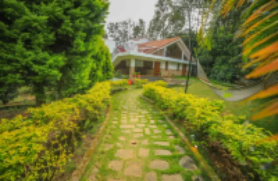 Wow Bison Woods Resort Yercaud