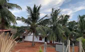 Palm View Inn-Nilaveli
