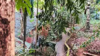 Ceylon Nature Hostel Kitulgala Các khách sạn ở Nawata