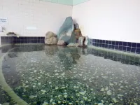 Nagaoka Kamaburo Onsen Ryokan - Thermen