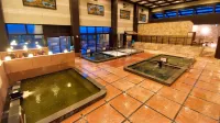 Nara Plaza Hotel - Pemandian Air Panas