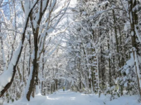 Minn北廣島站東口 北廣島市住宿飯店
