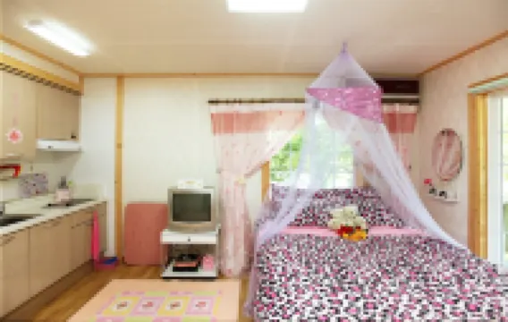Cheongju Okhwadaestory Pension