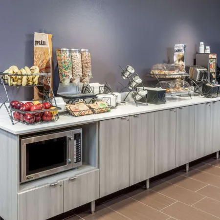 Microtel Inn & Suites by Wyndham West Fargo Medical Center