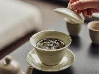 스테이 테오리아