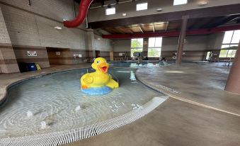 Holiday Inn Stevens Point - Convention Ctr