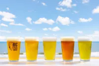 Hilton Garden Inn Ocean City Oceanfront - Bar