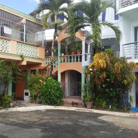 Best Bed and Breakfast in Samana (Breakfast Included)