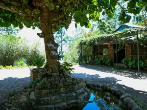 Nature Zone Jungle Resort