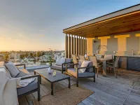 ساندرز أوليف - شيك 3 بدارو ابرت ويث شيرد بول