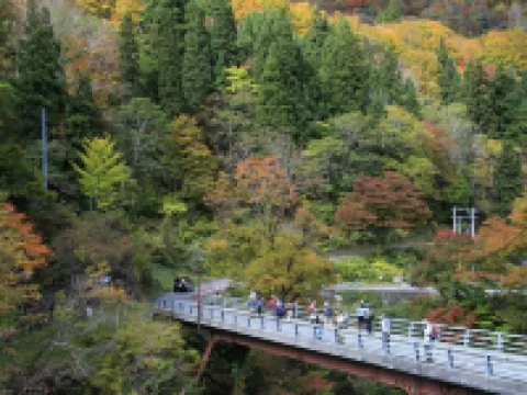 逆巻温泉 川津屋 津南町のホテル